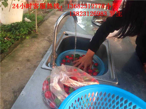 深圳哪里最好玩