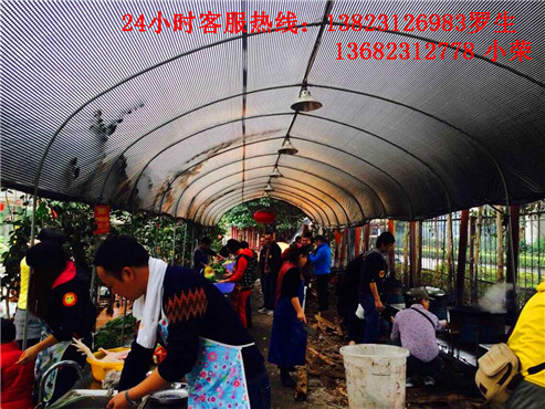 深圳哪里有野炊