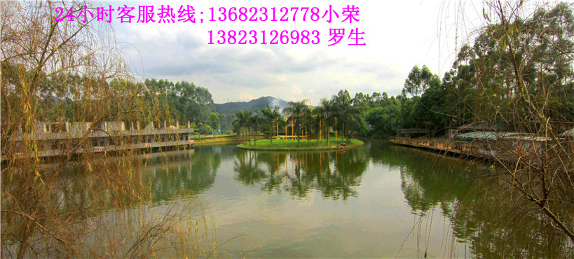 深圳年会策划公司有哪些